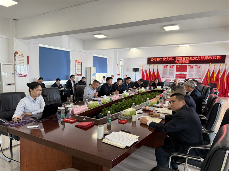10.25+绵阳管理处+公司第一、二党支部、绵阳管理处党支部开展联合共建主题党日活动4.jpg